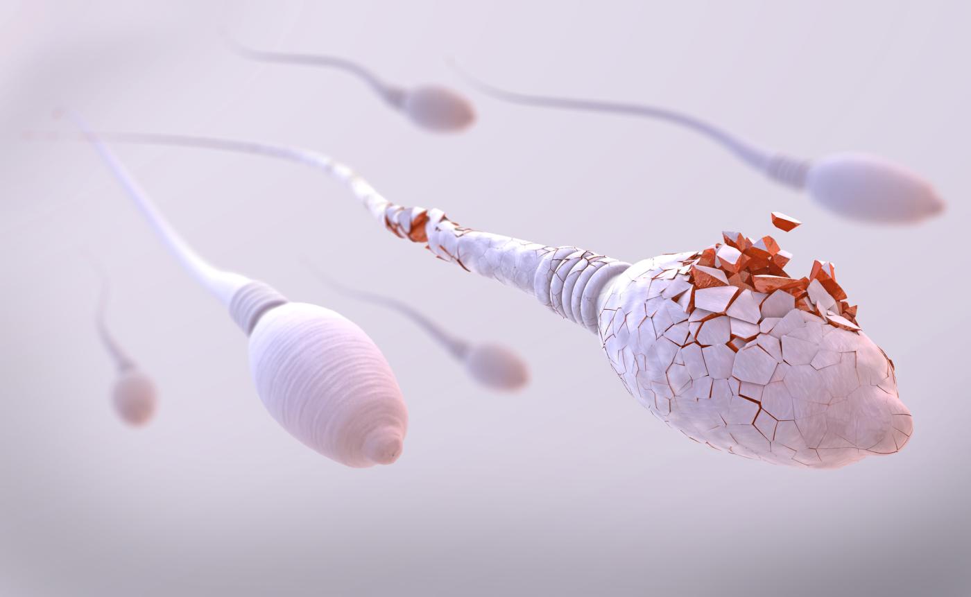 сперма во влагалище у детей фото 110