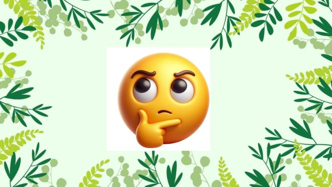 Китайцы скупают доменные имена «экологияРоссии»