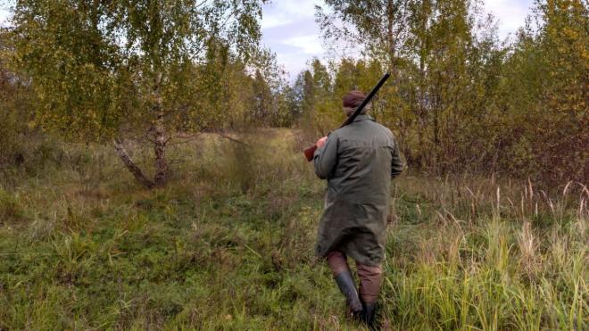 На охоту – миллиарды, а на охрану – миллионы выделяются из федерального бюджета регионам