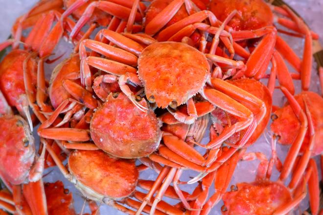 Снежные крабы сбежали с Аляски