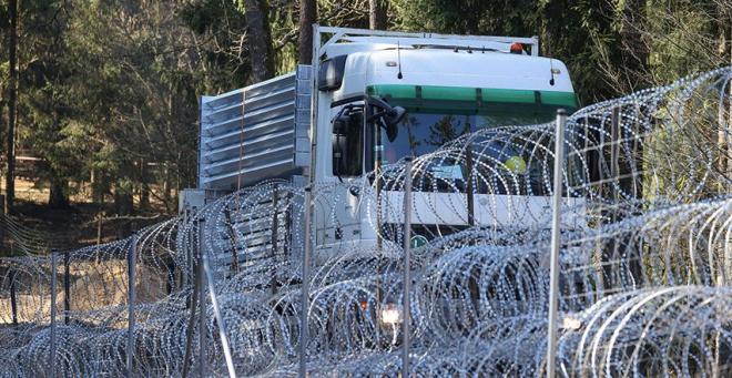 Польский забор в Беловежской пуще меняет экосистемы Польский забор в Беловежской пуще меняет экосистемы