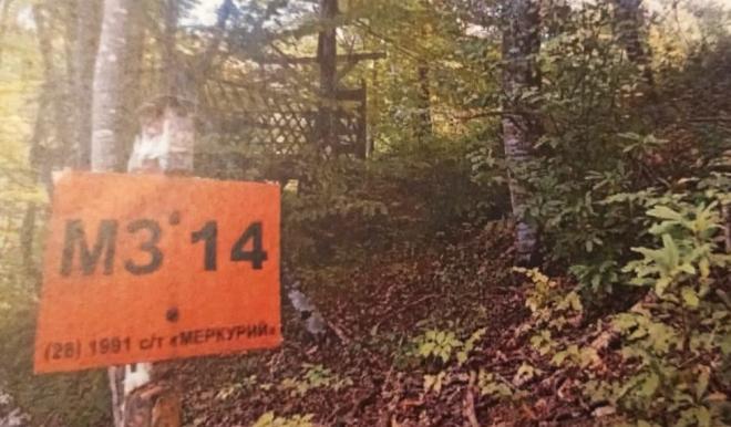 Фетисов: «Природное богатство – это не чье-то личное, это богатство всей страны»