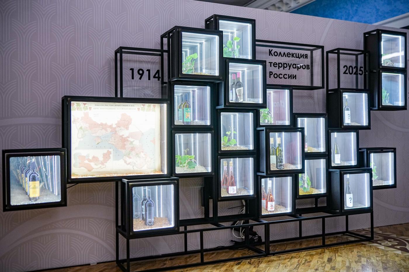 Виноделы России нуждаются в климатических моделях