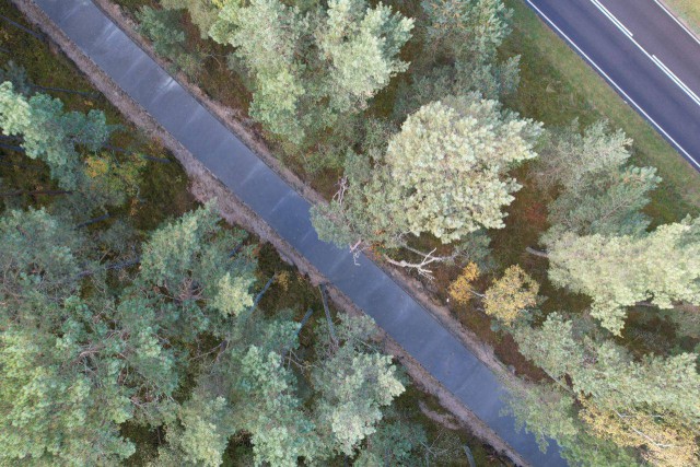 Восемь километров для велодорожки подготовили на Куршской косе