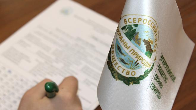 Жители волжских регионов написали экологический диктант