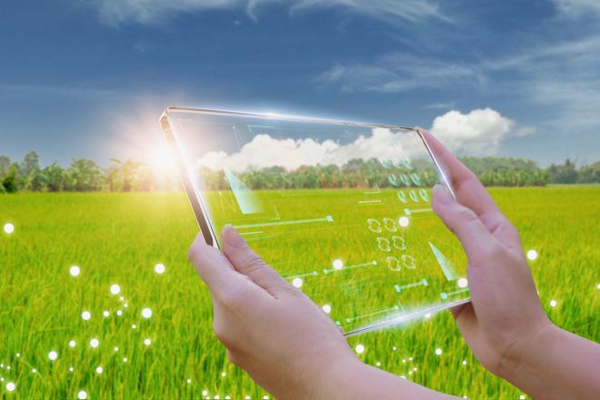 Нацпроект «Экологическое благополучие»: требуется больше конкретики и проработки 