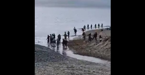 Браконьеры на Сахалине вышли на охоту за горбушей 