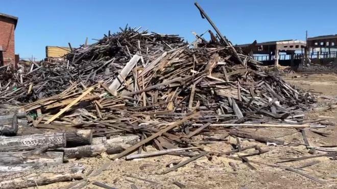 Лесопромышленники и золотодобытчики нанесли Красноярскому краю ущерба почти на миллиард рублей