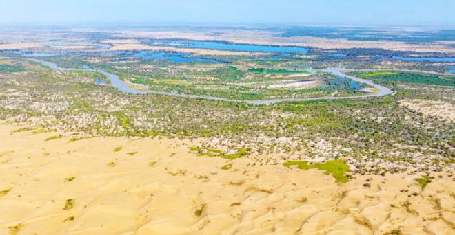 Китай озеленяет одну из крупнейших пустынь мира, но деревья могут оказаться неэффективны в борьбе с засухой