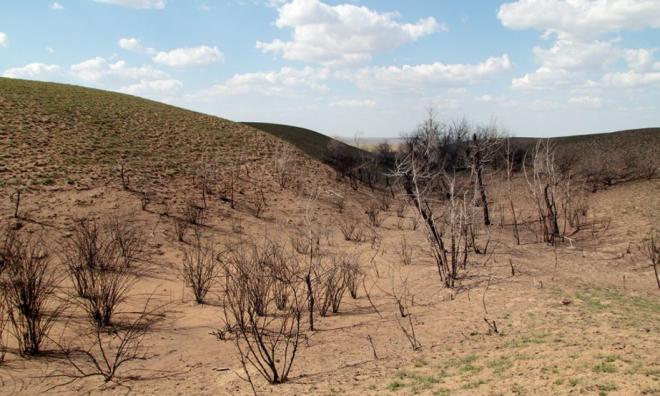 Степные пожары в России. Что мы знаем про их масштабы?