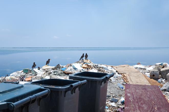 Кто и как будет решать проблему краснодарского мусора?