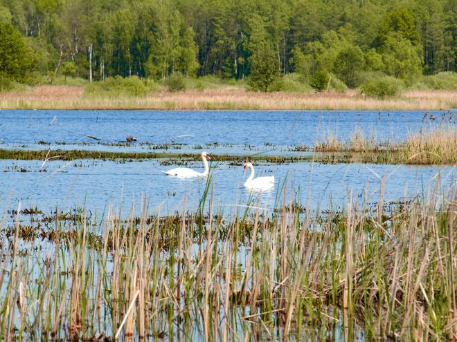 Заслуженный эколог России просит Генпрокуратуру оспорить новый закон Москвы о зеленых территориях