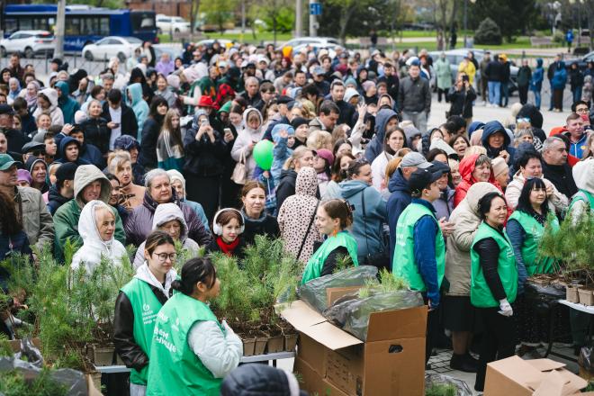 30 тысяч саженцев жителям России: раздача деревьев может стать трендом в озеленении 