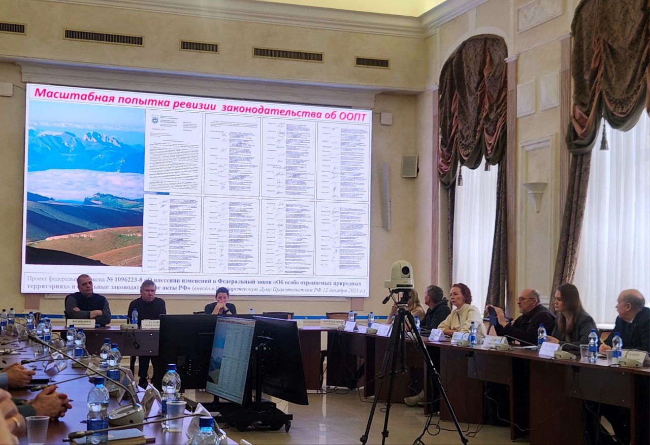 Грозит ли заповедному делу России третья волна разгрома? Эксперты дали свою оценку