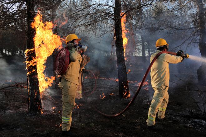 Более 80 лесных пожаров ликвидировано за сутки