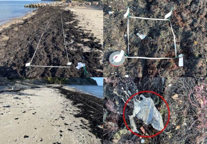 Ученые установили, что штормы являются естественными сборщиками пластика