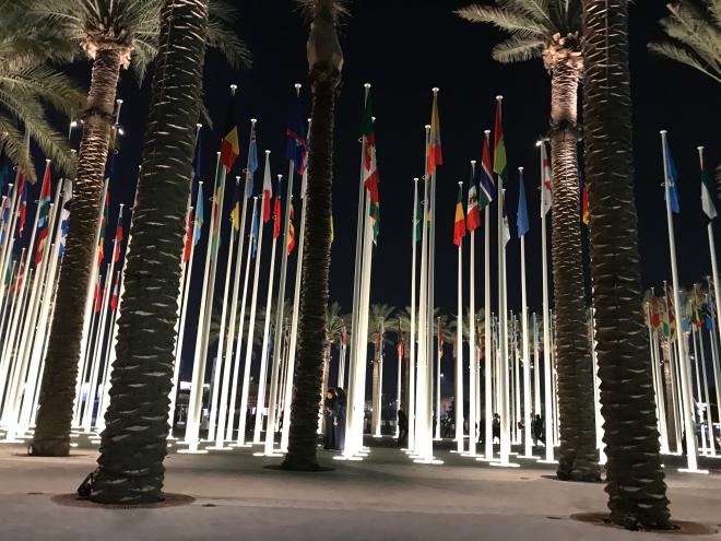 COP28 стала площадкой не только для политиков, но и для науки и общественников