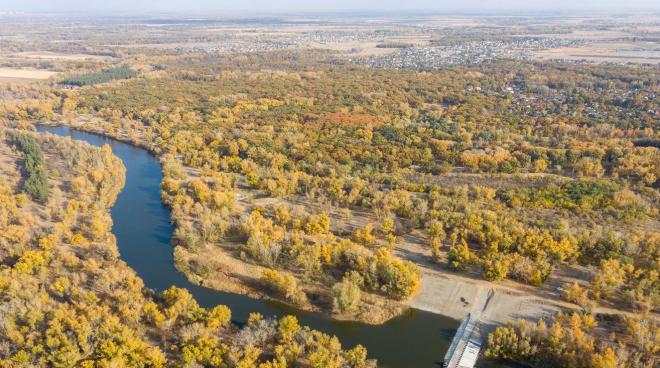 На вырубку 14 тысяч деревьев в Волго-Ахтубинской пойме объявлен аукцион