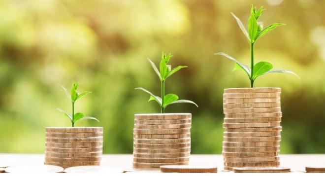 Выявлены нарушения в деятельности Минприроды на сумму более 89 млрд рублей