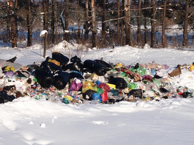 Суд заставит калужское Минприроды «убрать за собой» в лесу