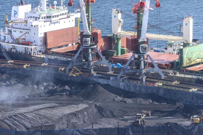 Наказание для стивидоров ужесточат только через два года